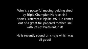 Free download Friesian gelding for sale named Wim - Sired by Triple Champion KFPS Norbert 444 Sport+Preferent x Tsjalke 397 video and edit with RedcoolMedia movie maker MovieStudio video editor online and AudioStudio audio editor onlin