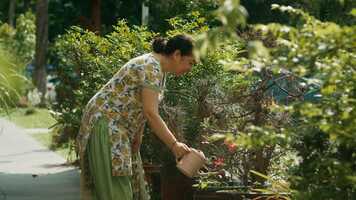 Free download From The Heart video and edit with RedcoolMedia movie maker MovieStudio video editor online and AudioStudio audio editor onlin