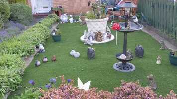 Free download Front Garden Magic video and edit with RedcoolMedia movie maker MovieStudio video editor online and AudioStudio audio editor onlin