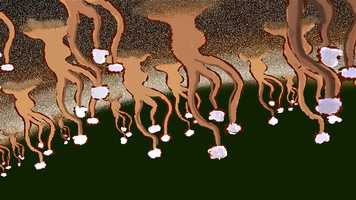 Free download Fruit Body-Animatic video and edit with RedcoolMedia movie maker MovieStudio video editor online and AudioStudio audio editor onlin