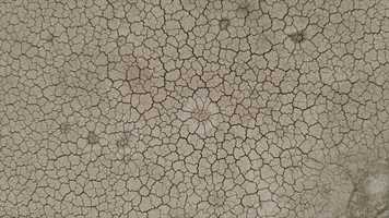 Free download ft. 6 | bEPIC MLM BEpic Elev8 Webinar Presentation English TOP MLM WORLD B-EPIC Arlington, Virginia video and edit with RedcoolMedia movie maker MovieStudio video editor online and AudioStudio audio editor onlin