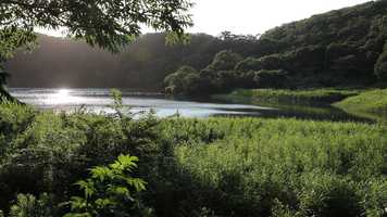 Free download Fugue in a Hinterland video and edit with RedcoolMedia movie maker MovieStudio video editor online and AudioStudio audio editor onlin