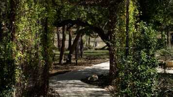 Free download Full Highlight Reel - Conner  Lexie (music) video and edit with RedcoolMedia movie maker MovieStudio video editor online and AudioStudio audio editor onlin