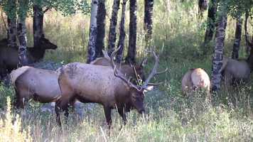 Free download FUMCC Virtual VBC: Friday, Video 1 video and edit with RedcoolMedia movie maker MovieStudio video editor online and AudioStudio audio editor onlin