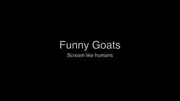 Free download Funny Goats Screaming like Humans video video and edit with RedcoolMedia movie maker MovieStudio video editor online and AudioStudio audio editor onlin
