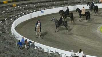 Free download Fun Show 2020 cl 13 video and edit with RedcoolMedia movie maker MovieStudio video editor online and AudioStudio audio editor onlin