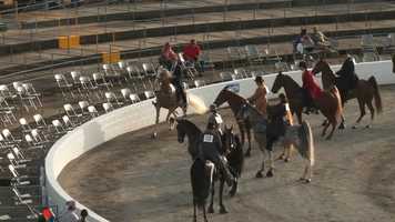 Free download Fun Show 2020 Cl 51 video and edit with RedcoolMedia movie maker MovieStudio video editor online and AudioStudio audio editor onlin