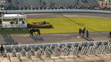 Free download Fun Show 2021 cl 1.mp4 video and edit with RedcoolMedia movie maker MovieStudio video editor online and AudioStudio audio editor onlin