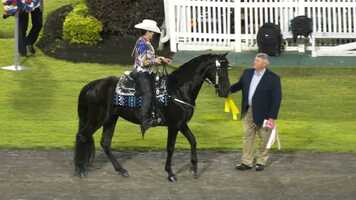 Free download Fun Show 2021 cl 22.mp4 video and edit with RedcoolMedia movie maker MovieStudio video editor online and AudioStudio audio editor onlin