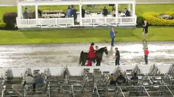 Free download Fun Show 2021 cl 37.mp4 video and edit with RedcoolMedia movie maker MovieStudio video editor online and AudioStudio audio editor onlin