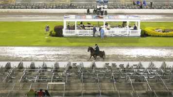 Free download Fun Show 2021 cl 47.mp4 video and edit with RedcoolMedia movie maker MovieStudio video editor online and AudioStudio audio editor onlin