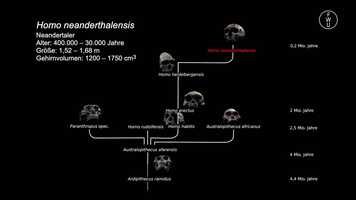 Free download FWU - Die Abstammungsgeschichte des Menschen - Trailer video and edit with RedcoolMedia movie maker MovieStudio video editor online and AudioStudio audio editor onlin