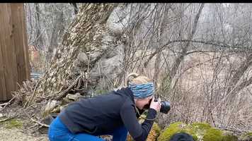 Free download Gaia Associate Producer of Content Applicaiton video and edit with RedcoolMedia movie maker MovieStudio video editor online and AudioStudio audio editor onlin