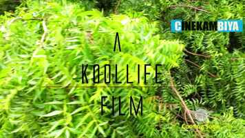 Free download Gambia Fever Film DIrected by Koollife Kolawole.mp4 video and edit with RedcoolMedia movie maker MovieStudio video editor online and AudioStudio audio editor onlin