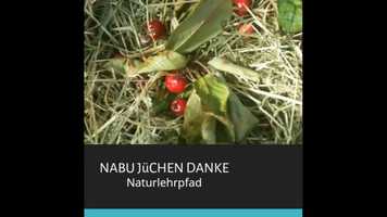 Free download Gande Film NABU-Einfach MPEG-4 video and edit with RedcoolMedia movie maker MovieStudio video editor online and AudioStudio audio editor onlin