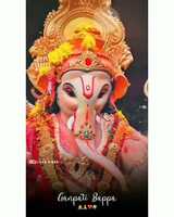 Free download Ganpati Bappa Status  ganpati Bappa WhatsApp status  ganpati Bappa Status full screen  4k Status full screen video and edit with RedcoolMedia movie maker MovieStudio video editor online and AudioStudio audio editor onlin