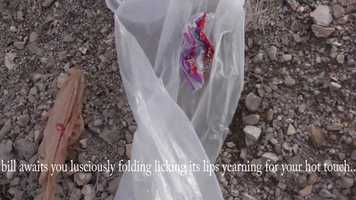 Free download Garbage Pile Babiez -or- Two Faced Trash Talkerz video and edit with RedcoolMedia movie maker MovieStudio video editor online and AudioStudio audio editor onlin