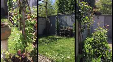 Free download garden 1 video and edit with RedcoolMedia movie maker MovieStudio video editor online and AudioStudio audio editor onlin