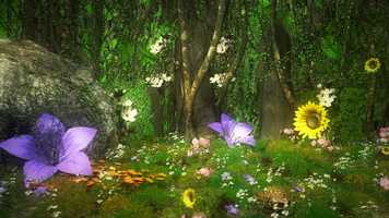 Free download Garden concept clip video and edit with RedcoolMedia movie maker MovieStudio video editor online and AudioStudio audio editor onlin