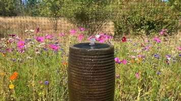 Free download Garden Fountain (no voice) video and edit with RedcoolMedia movie maker MovieStudio video editor online and AudioStudio audio editor onlin