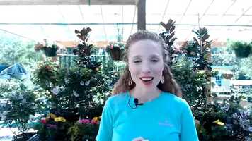 Free download Gardening 101 - QA! video and edit with RedcoolMedia movie maker MovieStudio video editor online and AudioStudio audio editor onlin