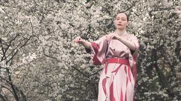 Free download Garden of Delight video and edit with RedcoolMedia movie maker MovieStudio video editor online and AudioStudio audio editor onlin