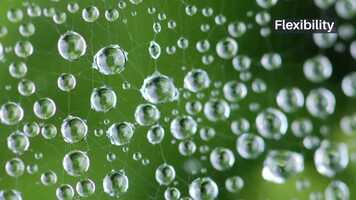 Free download Garden photography tips and tricks video and edit with RedcoolMedia movie maker MovieStudio video editor online and AudioStudio audio editor onlin