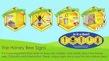 Free download Garden Rules video and edit with RedcoolMedia movie maker MovieStudio video editor online and AudioStudio audio editor onlin