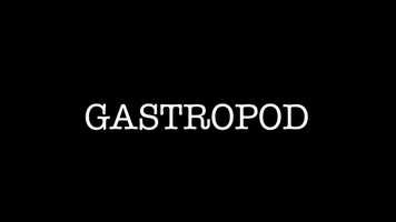 Free download Gastropod-Movie Trailer 03/01/2020 video and edit with RedcoolMedia movie maker MovieStudio video editor online and AudioStudio audio editor onlin