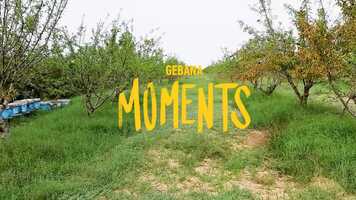 Free download gebana MOMENTS - Mandelproduktion in Tunesien.mp4 video and edit with RedcoolMedia movie maker MovieStudio video editor online and AudioStudio audio editor onlin