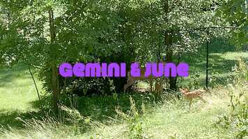 Free download Gemini  June video and edit with RedcoolMedia movie maker MovieStudio video editor online and AudioStudio audio editor onlin