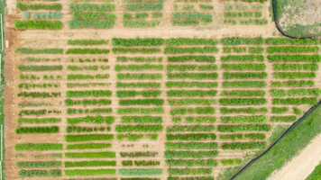 Free download Genebank Trailer - Mani Vetriventhan - ICRISAT video and edit with RedcoolMedia movie maker MovieStudio video editor online and AudioStudio audio editor onlin