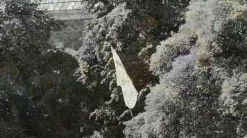 Free download Gens fucking fantastic film video and edit with RedcoolMedia movie maker MovieStudio video editor online and AudioStudio audio editor onlin