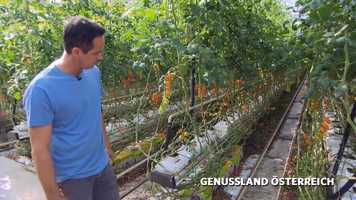 Free download Genussland sterreich Staffel 5 Herbst 2020 video and edit with RedcoolMedia movie maker MovieStudio video editor online and AudioStudio audio editor onlin