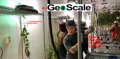 Free download GeoShepard in Action video and edit with RedcoolMedia movie maker MovieStudio video editor online and AudioStudio audio editor onlin