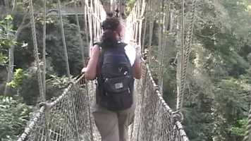 Free download Ghana Adventure: Be Moved - 2020 Tour Curated by JazzXchange video and edit with RedcoolMedia movie maker MovieStudio video editor online and AudioStudio audio editor onlin