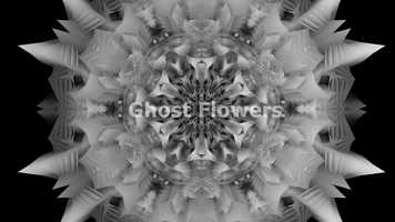 Free download Ghost Flowers video and edit with RedcoolMedia movie maker MovieStudio video editor online and AudioStudio audio editor onlin