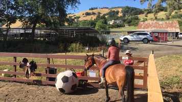 Free download Giorgias 1st Ride on Aria - bareback video and edit with RedcoolMedia movie maker MovieStudio video editor online and AudioStudio audio editor onlin