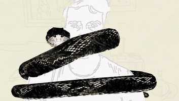 Free download GLADES video and edit with RedcoolMedia movie maker MovieStudio video editor online and AudioStudio audio editor onlin