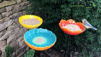 Free download Glee2021_ShortFilm video and edit with RedcoolMedia movie maker MovieStudio video editor online and AudioStudio audio editor onlin