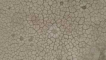 Free download Glendale, AZ www.bEpic.com B-Smart Elev8 Life-Changing Product | Coming to: ID HI GA FL DC DE CT | video and edit with RedcoolMedia movie maker MovieStudio video editor online and AudioStudio audio editor onlin