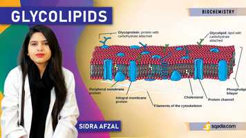 Free download Glycolipids | Cerebrosides | Biochemistry Lectures | Medical Student | V-Learning video and edit with RedcoolMedia movie maker MovieStudio video editor online and AudioStudio audio editor onlin