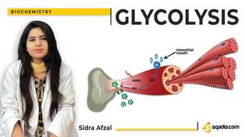 Free download Glycolysis | Glucose Utilization | Biochemistry Lectures | Medical Education | V-Learning video and edit with RedcoolMedia movie maker MovieStudio video editor online and AudioStudio audio editor onlin
