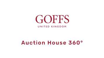 Free download Goffs Bloodstock Sales UK - Horse on parade around the Auction House with bids being made by buyers. video and edit with RedcoolMedia movie maker MovieStudio video editor online and AudioStudio audio editor onlin