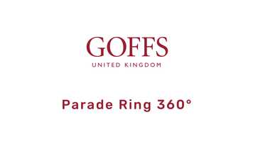 Free download Goffs Bloodstock Sales UK - Horses walked around the Parade Ring for buyer to view before auction. video and edit with RedcoolMedia movie maker MovieStudio video editor online and AudioStudio audio editor onlin