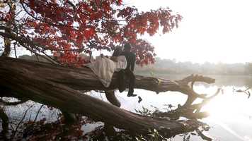 Free download Gokulan  Quinces  Save The Date Film video and edit with RedcoolMedia movie maker MovieStudio video editor online and AudioStudio audio editor onlin