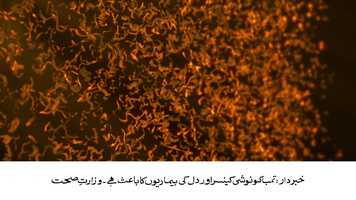 Free download GOLD LEAF 2021 video and edit with RedcoolMedia movie maker MovieStudio video editor online and AudioStudio audio editor onlin