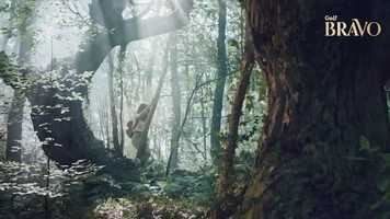 Free download Golf Bravo Egzotik Seri - Hayat Keşiflerle Doludur video and edit with RedcoolMedia movie maker MovieStudio video editor online and AudioStudio audio editor onlin