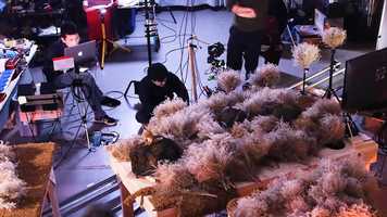 Free download GON_character_animation_Eng_191031 video and edit with RedcoolMedia movie maker MovieStudio video editor online and AudioStudio audio editor onlin