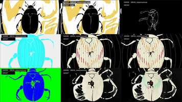 Free download Good Books - Metamorphosis Process Video video and edit with RedcoolMedia movie maker MovieStudio video editor online and AudioStudio audio editor onlin